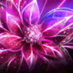 Meet your Posher, Jacquelyn